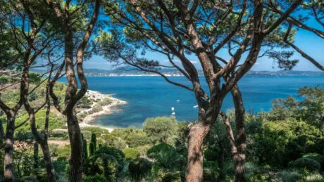 Image - Villa Haven - Image nᵒ1