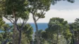 Image - Thumbnail - 51