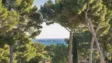 Image - Thumbnail - 4