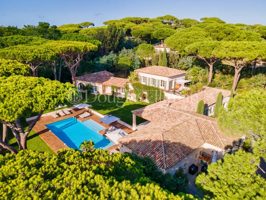 Image - Villa Dasha