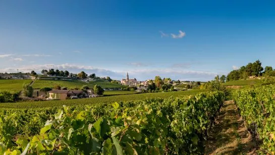 Image - Douglas Elliman France : votre agence immobilière à Bordeaux et en Gironde