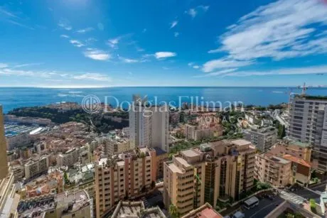 Image - Monaco – Jardin Exotique – Elegant duplex in a prestigious residence - Picture n°1