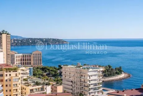 Image - Monaco – La Rousse – Penthouse with panoramic sea view - Picture n°1